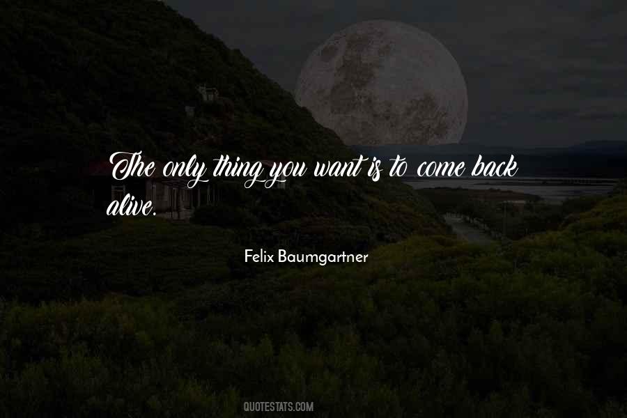 Felix Baumgartner Quotes #369075