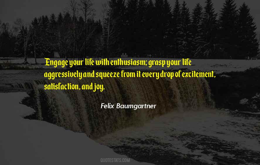 Felix Baumgartner Quotes #774224