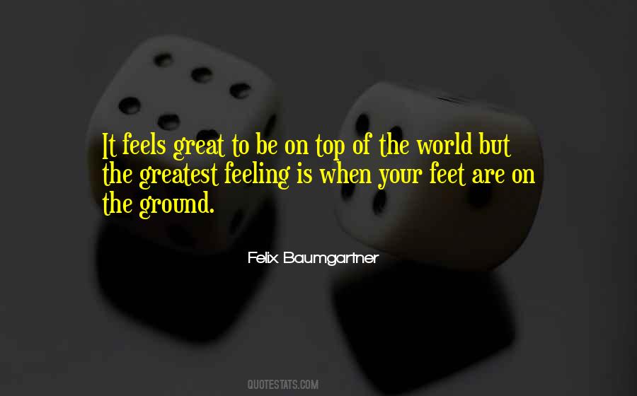 Felix Baumgartner Quotes #958190