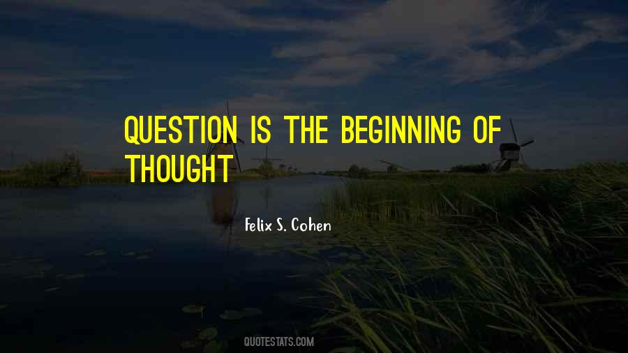 Felix S. Cohen Quotes #833927