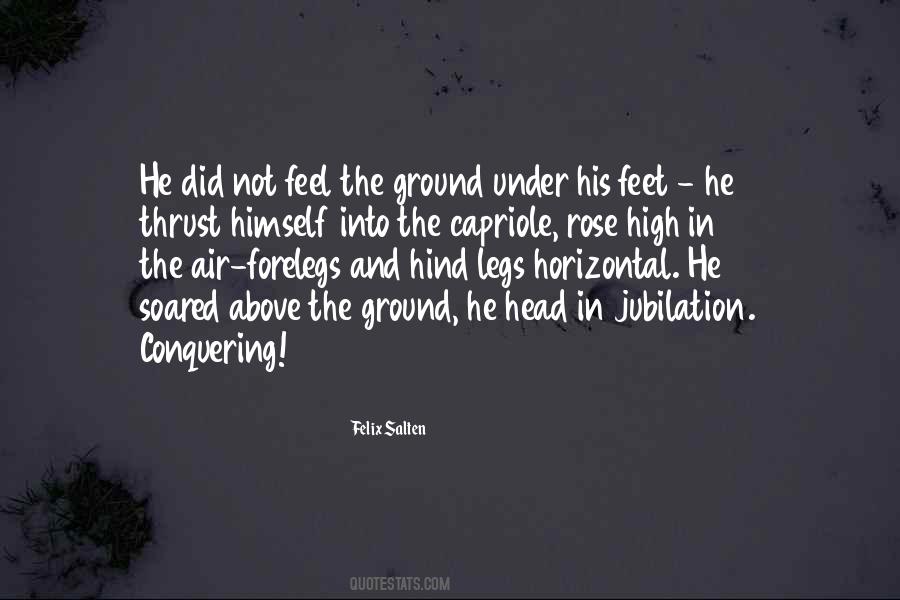 Felix Salten Quotes #412173