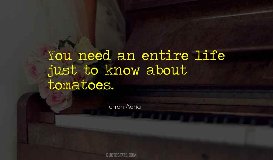 Ferran Adria Quotes #414465