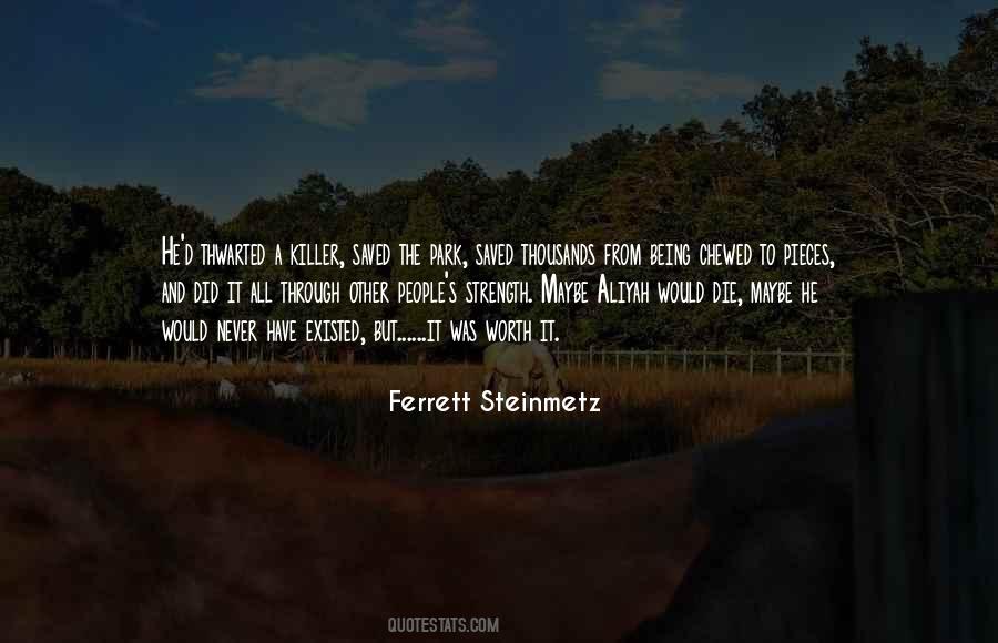 Ferrett Steinmetz Quotes #606349