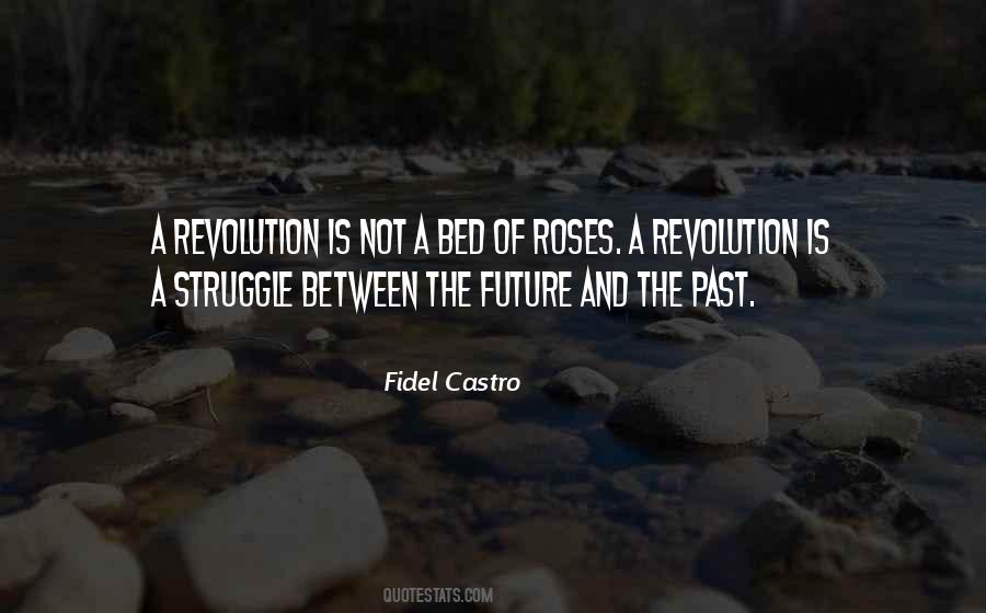Fidel Castro Quotes #167086