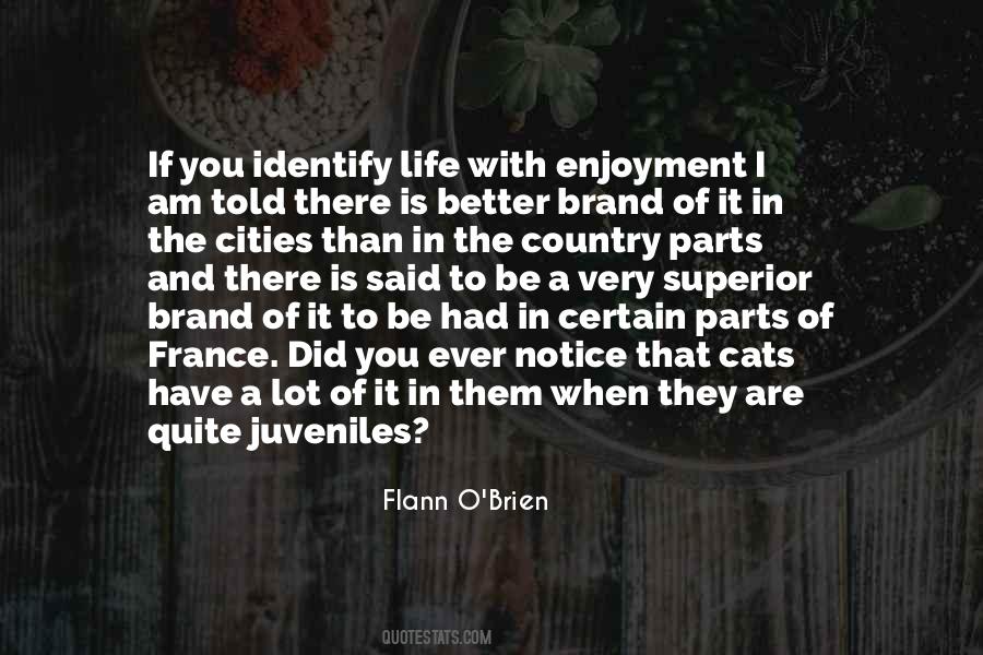 Flann O'Brien Quotes #1179060