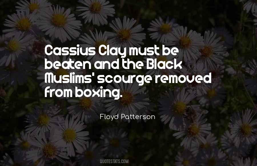 Floyd Patterson Quotes #1157490