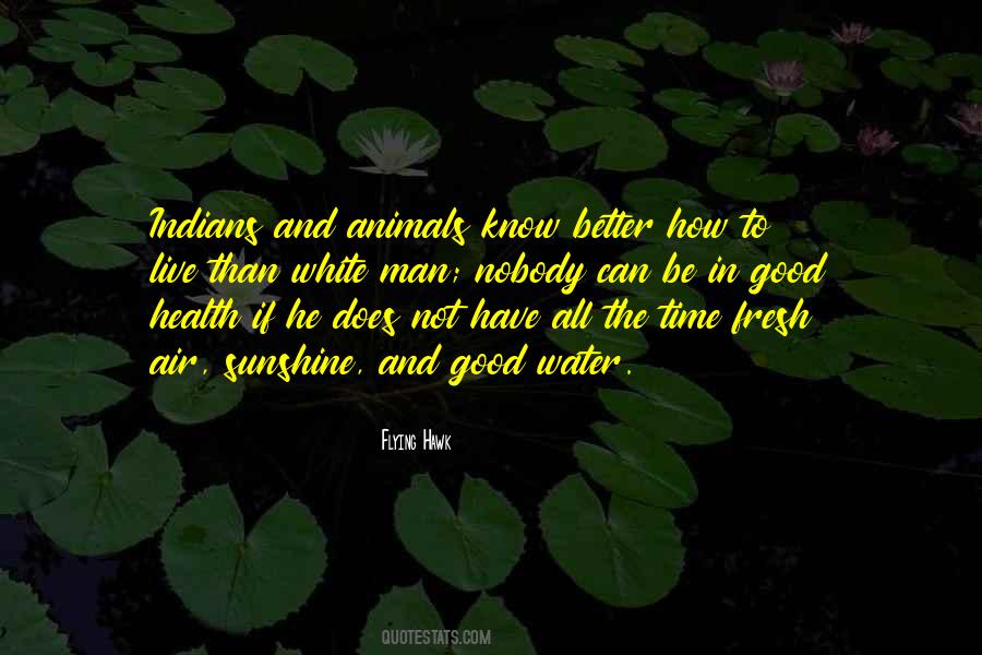 Flying Hawk Quotes #1329447 Flying Hawk Quotes #1329447