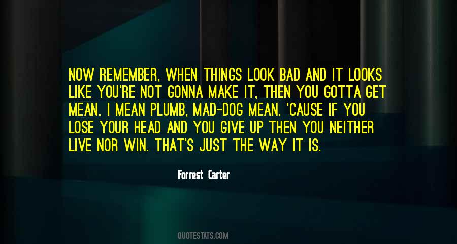Forrest Carter Quotes #1010467