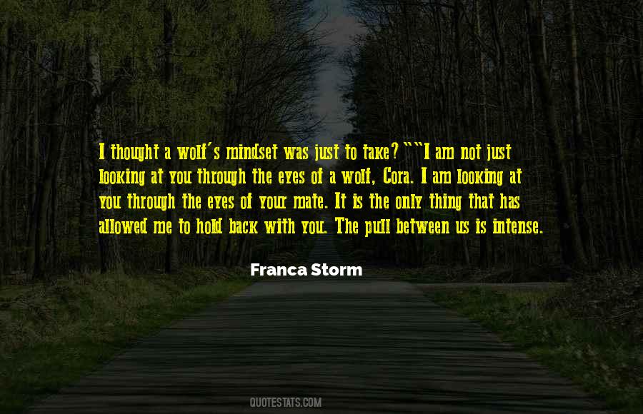 Franca Storm Quotes #523802