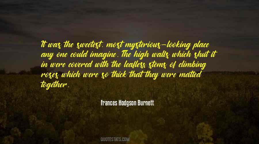 Frances Hodgson Burnett Quotes #1041799