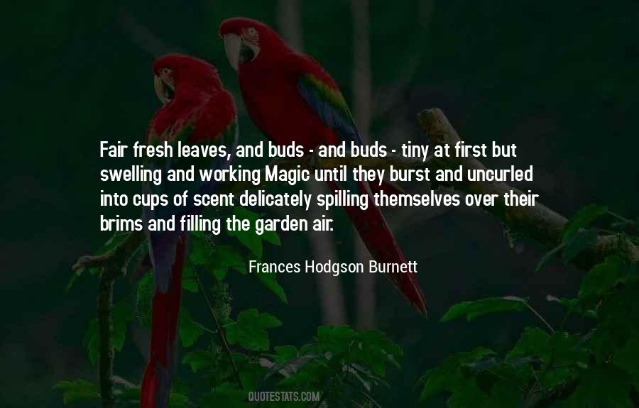 Frances Hodgson Burnett Quotes #344672