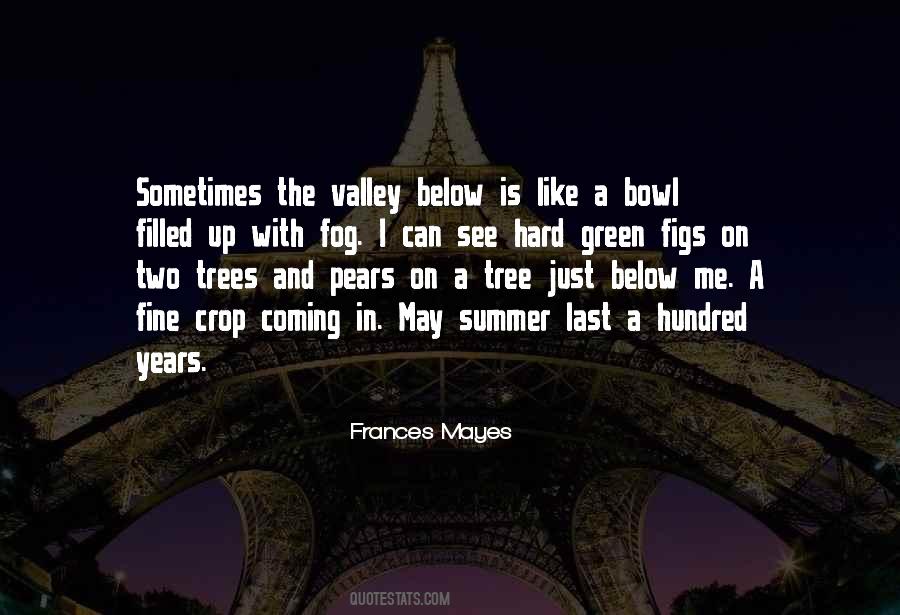 Frances Mayes Quotes #555118