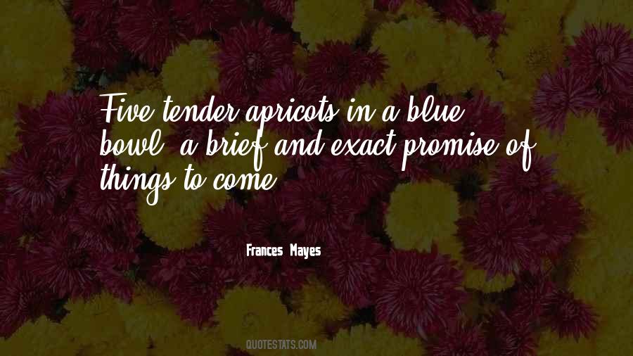 Frances Mayes Quotes #920244