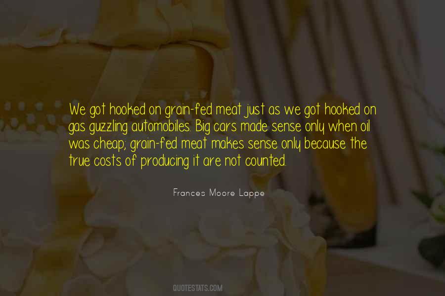 Frances Moore Lappe Quotes #874041