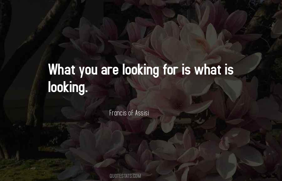 Francis Of Assisi Quotes #535312