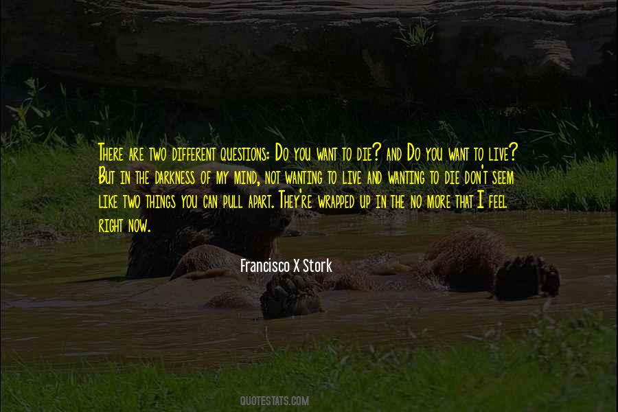 Francisco X Stork Quotes #455668