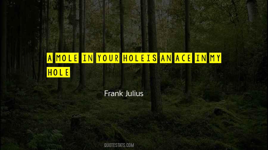 Frank Julius Quotes #925298