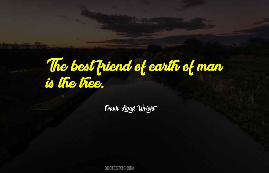 Frank Lloyd Wright Quotes #132404