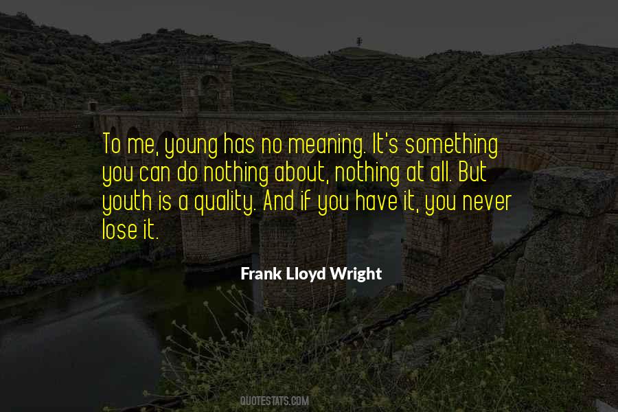 Frank Lloyd Wright Quotes #1423204