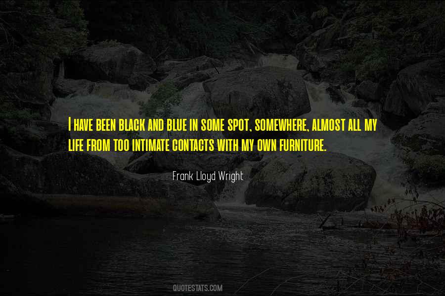 Frank Lloyd Wright Quotes #82902
