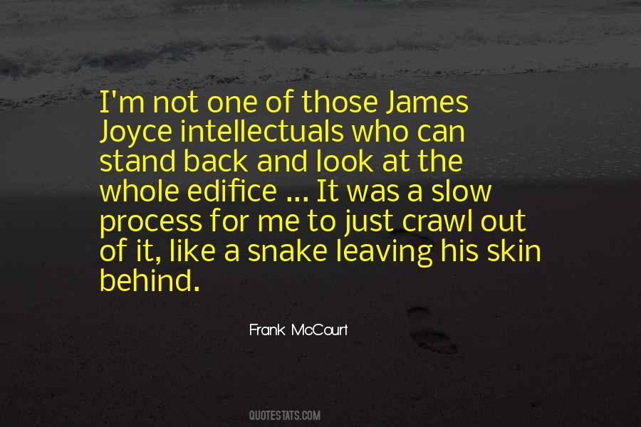 Frank McCourt Quotes #1704956