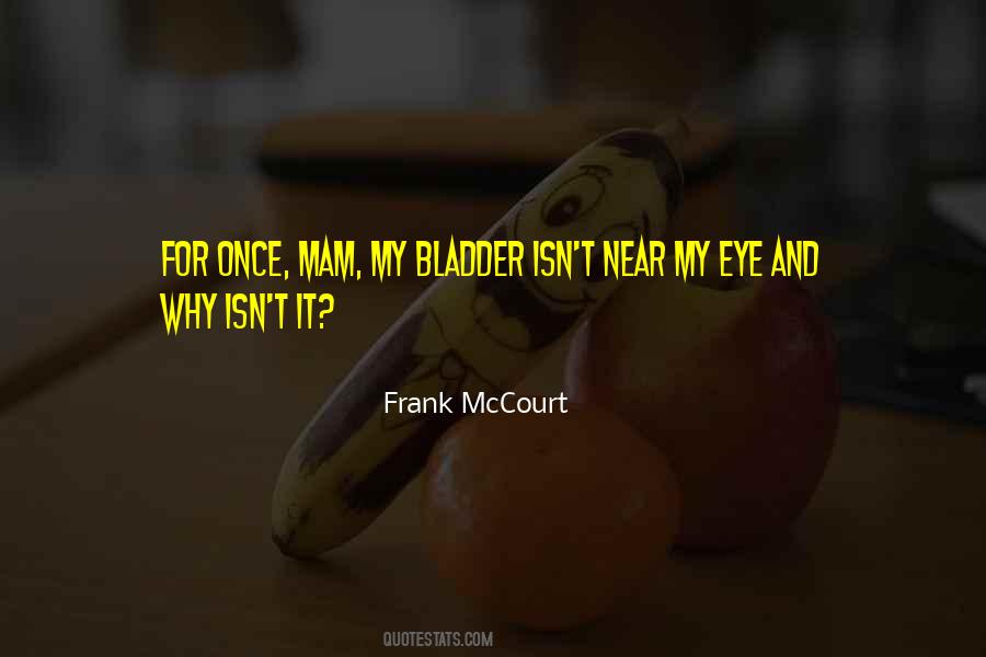 Frank McCourt Quotes #838090