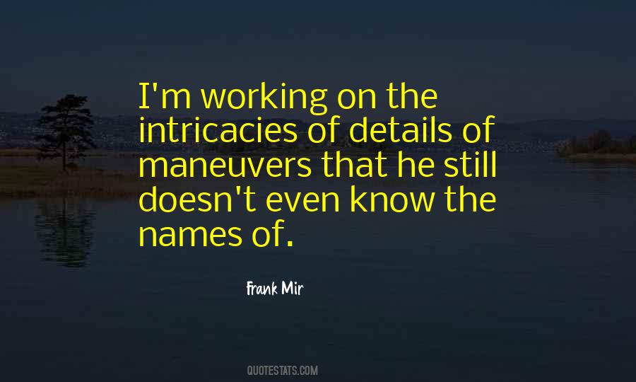Frank Mir Quotes #411920