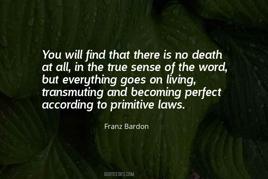 Franz Bardon Quotes #73058