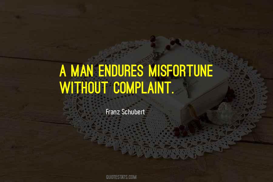 Franz Schubert Quotes #1770317