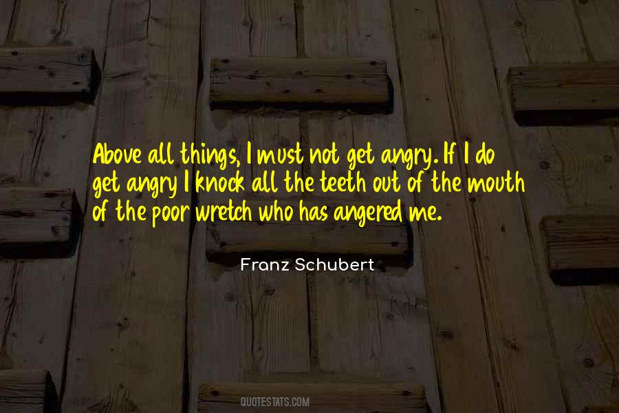 Franz Schubert Quotes #423423