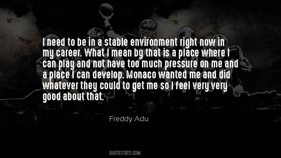 Freddy Adu Quotes #902950