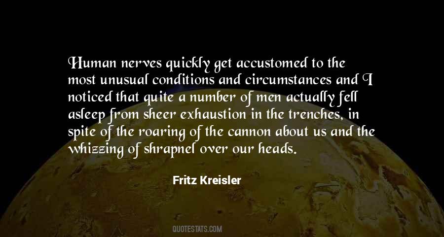 Fritz Kreisler Quotes #1210165