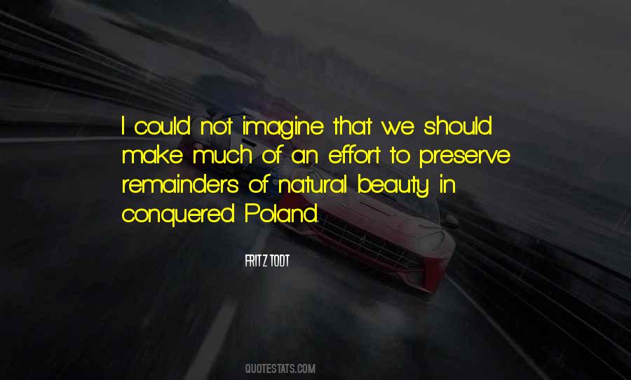 Fritz Todt Quotes #1723215