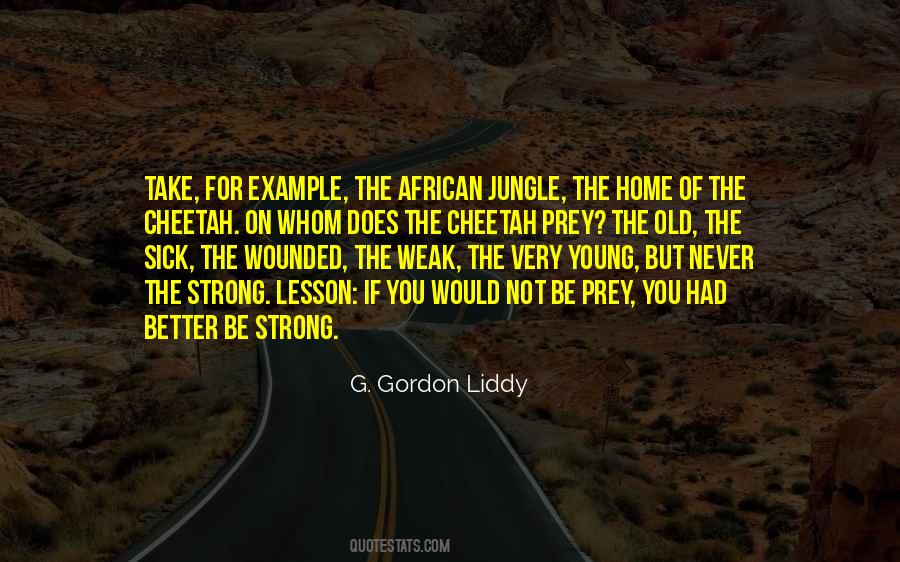 G. Gordon Liddy Quotes #1633138