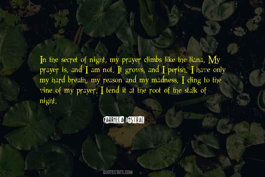 Gabriela Mistral Quotes #1620864