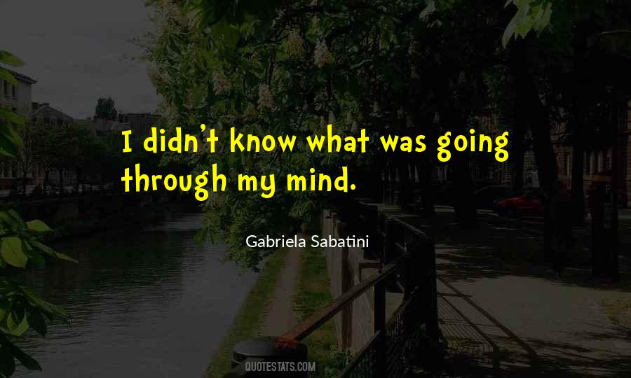 Gabriela Sabatini Quotes #780228