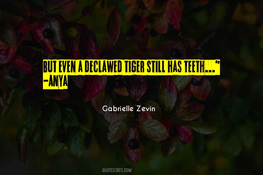 Gabrielle Zevin Quotes #283194