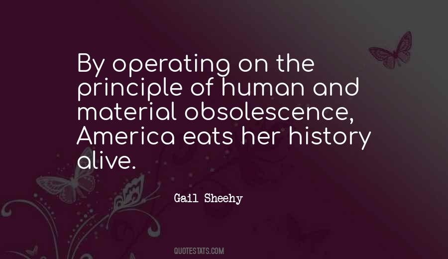 Gail Sheehy Quotes #1566788