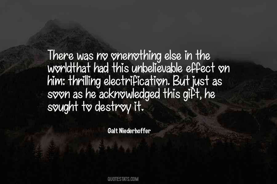 Galt Niederhoffer Quotes #929171