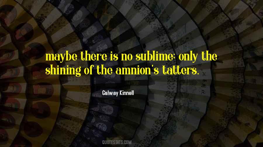 Galway Kinnell Quotes #1494187