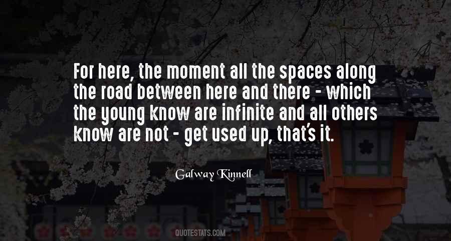 Galway Kinnell Quotes #1648322