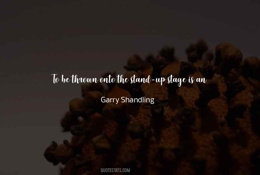 Garry Shandling Quotes #1398464