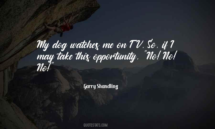 Garry Shandling Quotes #1401174