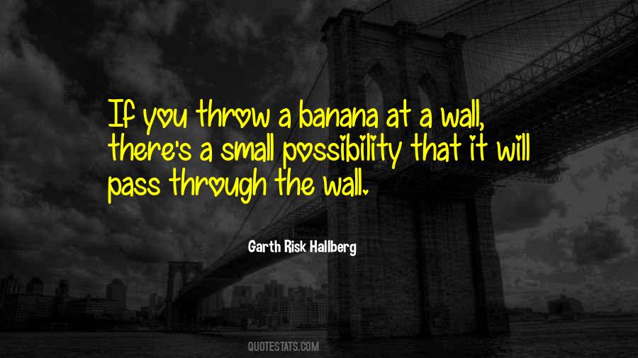 Garth Risk Hallberg Quotes #1775079