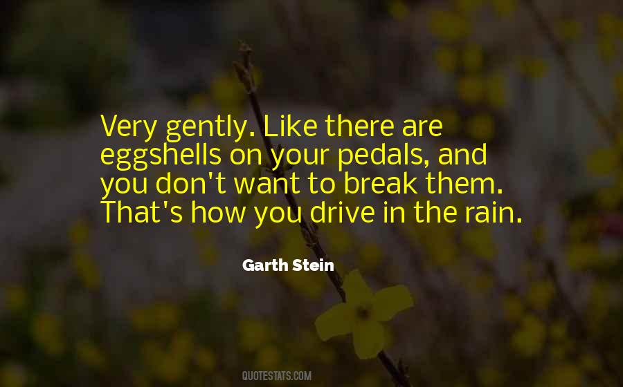 Garth Stein Quotes #1068809