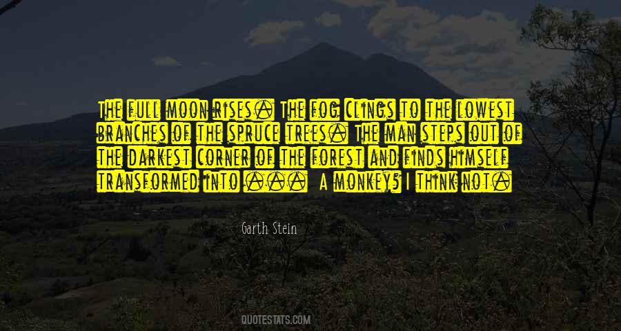 Garth Stein Quotes #1292033