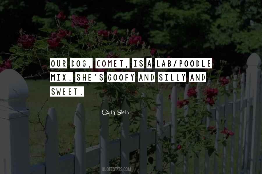 Garth Stein Quotes #1358070