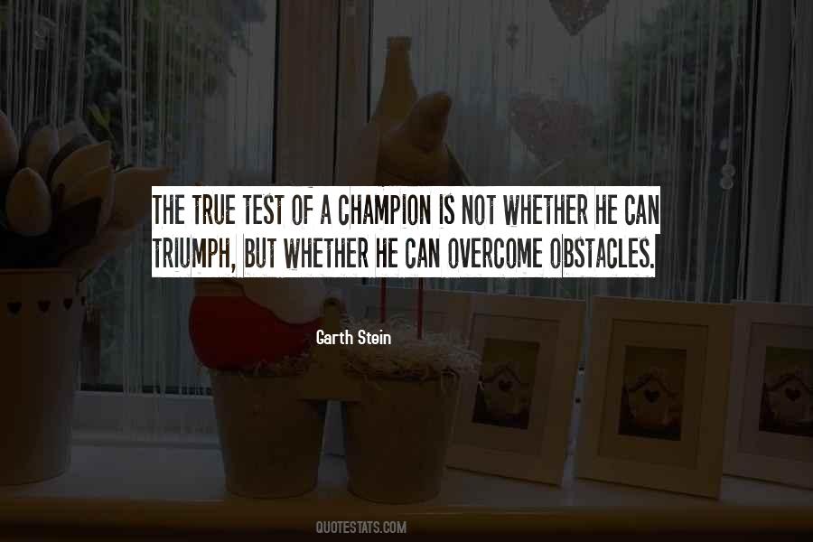 Garth Stein Quotes #1407742