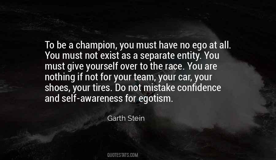 Garth Stein Quotes #1877752