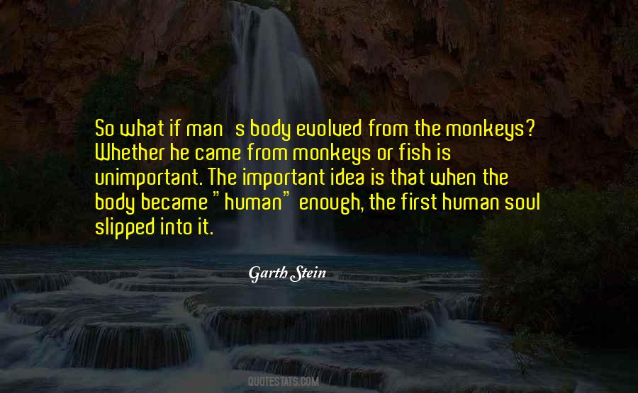 Garth Stein Quotes #226581